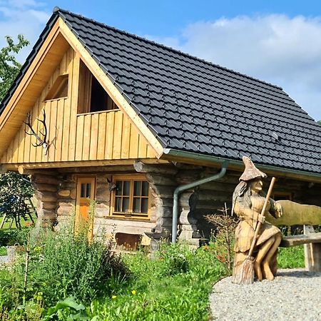 Blockhaus Panhuette Villa Braunlage Kültér fotó