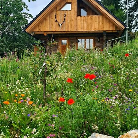 Blockhaus Panhuette Villa Braunlage Kültér fotó