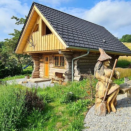 Blockhaus Panhuette Villa Braunlage Kültér fotó