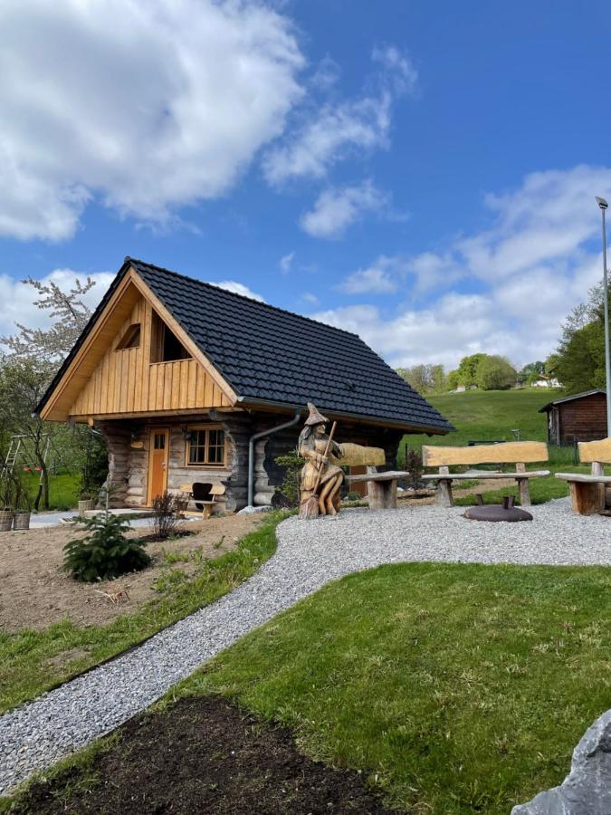 Blockhaus Panhuette Villa Braunlage Kültér fotó