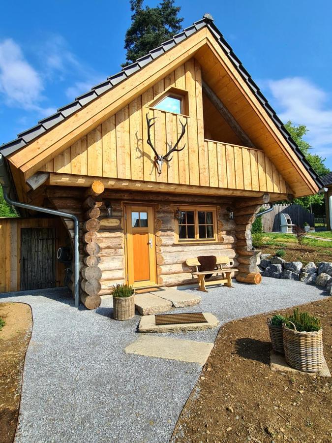 Blockhaus Panhuette Villa Braunlage Kültér fotó