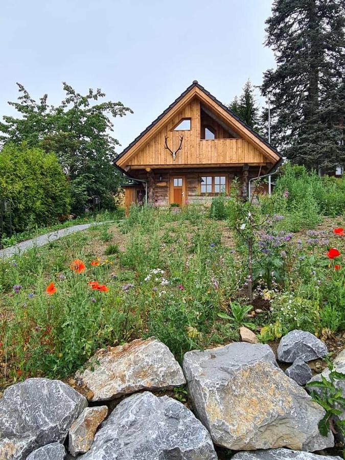 Blockhaus Panhuette Villa Braunlage Kültér fotó