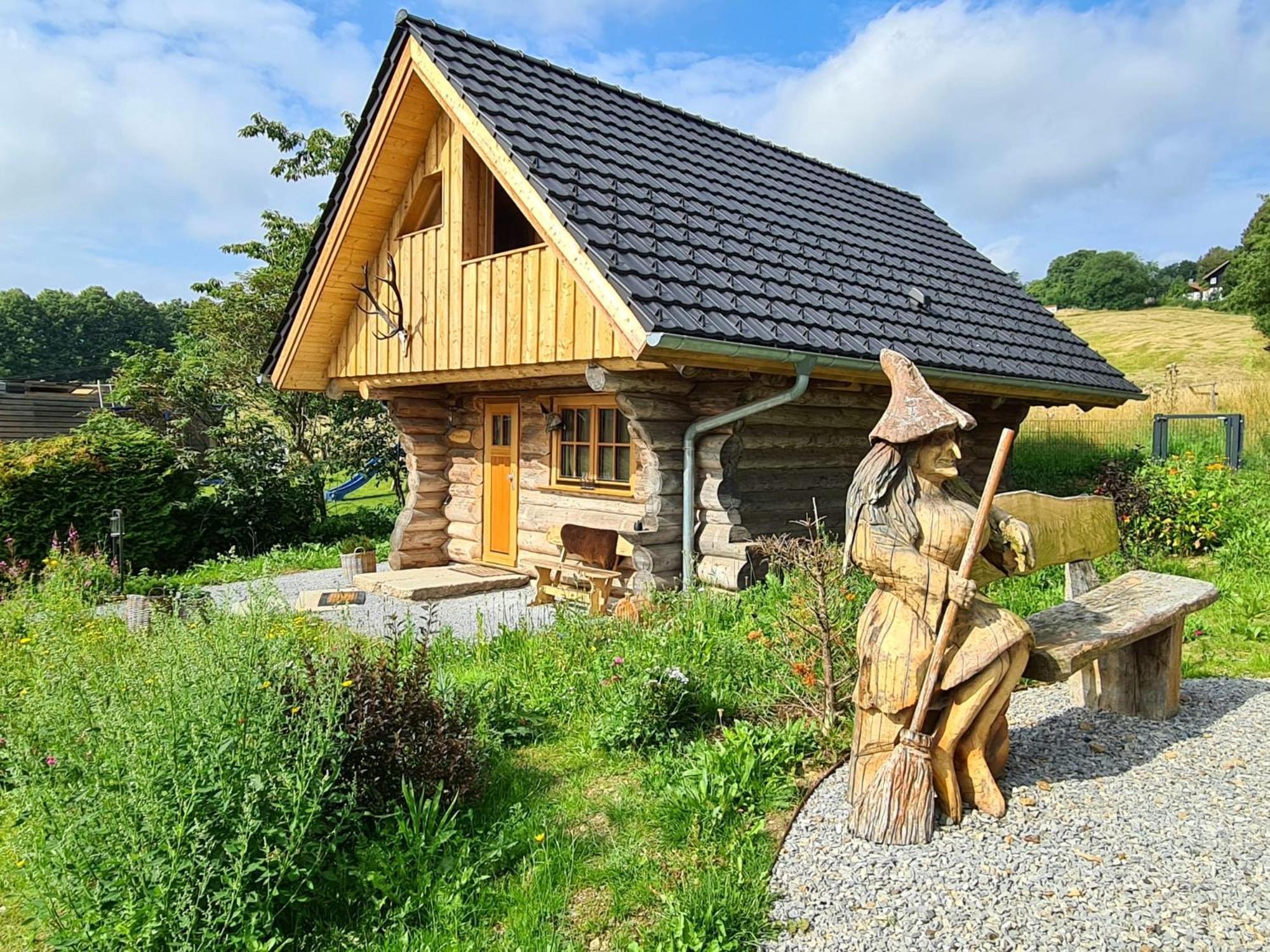 Blockhaus Panhuette Villa Braunlage Kültér fotó